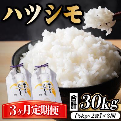 ふるさと納税 羽島市 【毎月定期便】岐阜県産ハツシモ　10kg(精米5kg×2袋)全3回