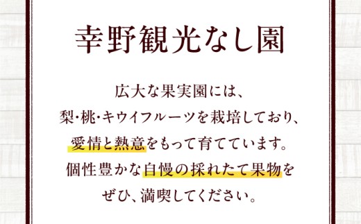 キウイフルーツ【先行予約】【2026年12月中旬から順次発送】　キウイフルーツ （10個?12個入り）or（20個～27個入り）　キウイ フルーツ kiwi fruit  果物 くだもの 愛媛県大洲市/幸野観光なし園 [AGBD009]