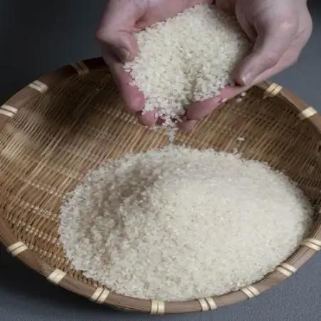 【発送月固定定期便】ふっくりんこ 5kg×2袋(10kg) (1カ月周期)全3回【4091186】
