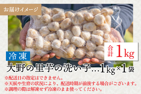 簡単手間なし！冷凍のまま調理！大野の里芋の洗い子 1kg×1袋[A-001045]