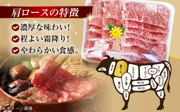 【全3回定期便】極上やみつき五島牛薄切り 800g【肉のマルヒサ】 [PCV012]