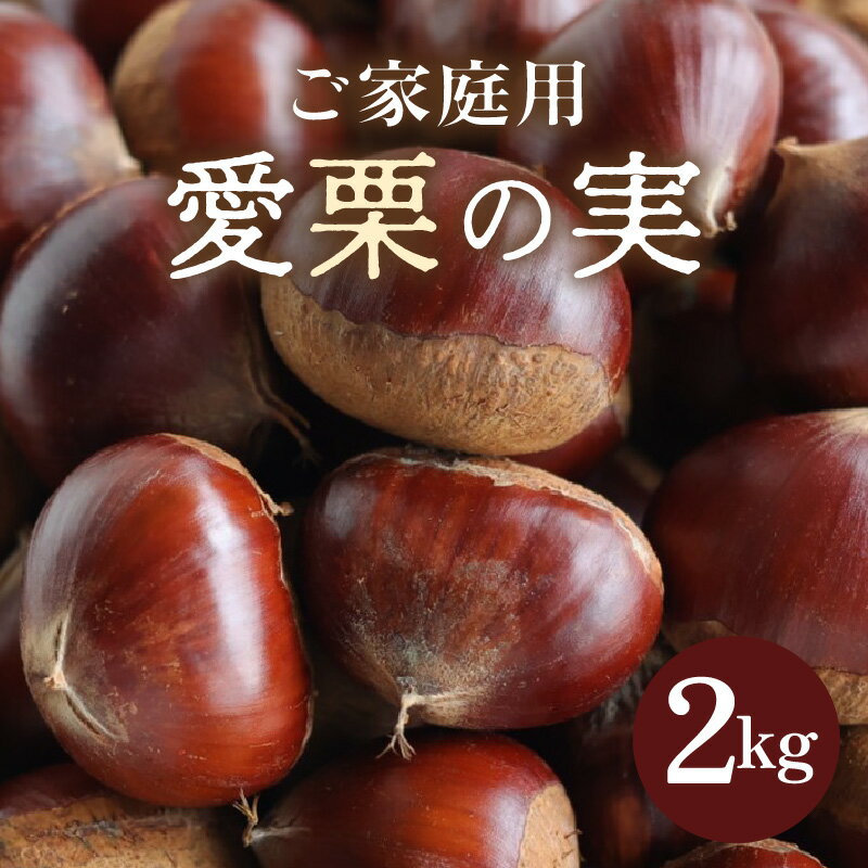 【ふるさと納税】【先行予約】《数量限定》愛栗の実 ご家庭用 2kg 新鮮 栗 甘栗 ※2026年9月下旬より順次発送予定
