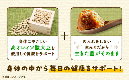 そら豆味噌 450g×3個 生みそ 高オレイン酸大豆 一の塩 そら豆 吉野ヶ里町/イデマン味噌醤油醸造元[FAF035]