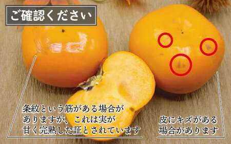 ブランド柿 「 秋王 」約3.5kg 6個～14個入り【2026年10月下旬～11月下旬発送予定】