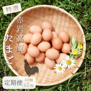【卵 定期便３か月】赤岩高原たまご 40個×3か月 合計120個（特選）