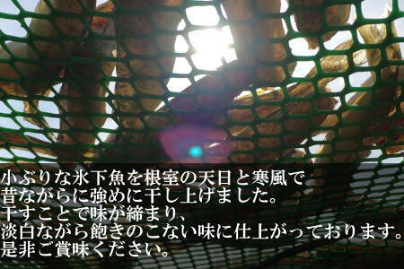 【北海道根室産】骨ごと食べれる生干しこまい 1.5kg A-69010