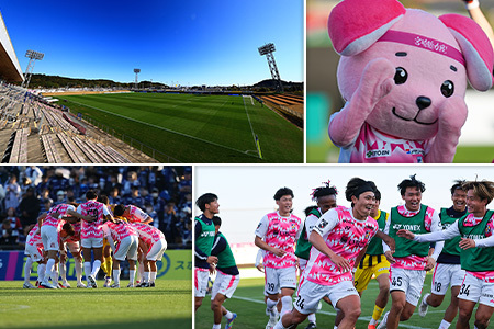 【サッカー 支援】 テゲバジャーロ 宮崎 J2 昇格 応援 1,000,000円 S28-06