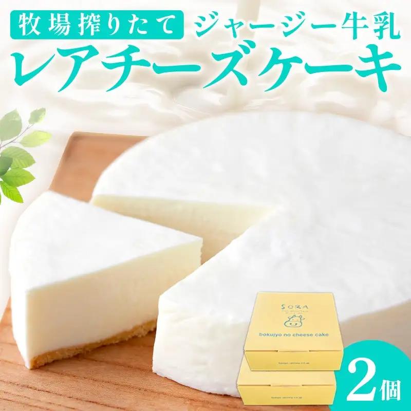 レアチーズケーキ 2個｜ケーキ スイーツ