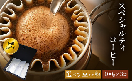 珈琲 クドー珈琲豆店 スペシャルティコーヒー 厳選 お任せ セット (豆 or 粉)【100g×3袋】 豆