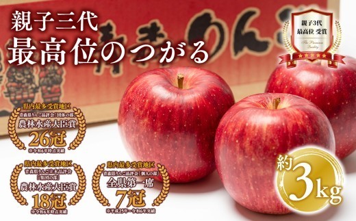 
                  【9月発送】 親子三代最高位のつがる 約3kg【全国ふじコンテスト最高賞受賞農園 青森県 平川市 釈迦のりんご園】全国ふじコンテスト最高賞受賞 青森りんご 平川市広船産 家庭用 リンゴ りんご リンゴ 林檎 フルーツ 果物 サンふじ ふじ フジ 平川市 青森 
                