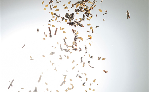 【定期便 6ヶ月連続】北のふりかけこんぶ 120g ×5個| 国産 コンブ だし 夕飯 海藻 だし昆布 こんぶ水 出汁 乾物 こんぶ ギフト 北連物産 きたれん 北海道 釧路町 冷凍 調理済み 絶品 