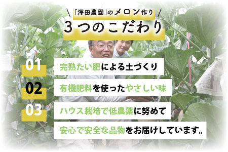 【先行予約】アムスメロン（1.3kg以上 2玉入) とろけるような果肉が絶品！／ あわら 期間限定 果物 フルーツ 産地直送 青肉 人気 ※2024年7月上旬より順次発送