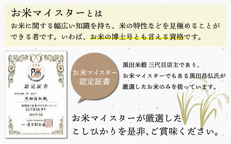 【令和7年産新米！】コシヒカリ10kg（5kg × 2）
