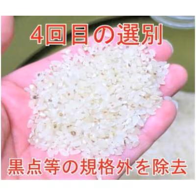 ふるさと納税 大仙市 【毎月定期便】全3回5kg(5kg×1袋)大手有名百貨店出荷米あきたこまち【令和7年産】全3回 |  | 02