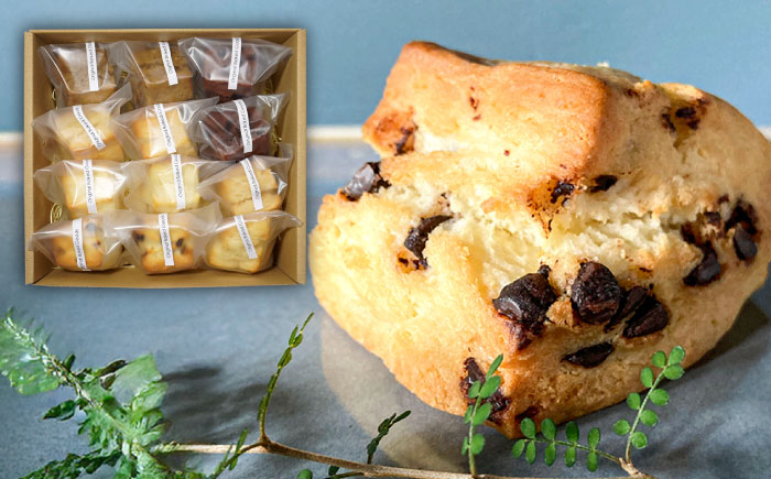 卵不使用スコーン12個セット(6種類×各2個)　日田市 / まるせ　詰め合わせ　卵アレルギー対応 焼き菓子 [ARFH002]