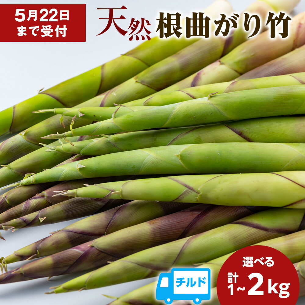 【ふるさと納税】天然 根曲がり竹 選べる1kg・2kg 根曲竹 ネマガリタケ 姫竹 笹竹北海道ふるさと納税 稚内 ふるさと納税 北海道 山菜 根曲がり竹 春山菜 北海道産 タケノコ 筍 竹の子【配送不可地域：離島】