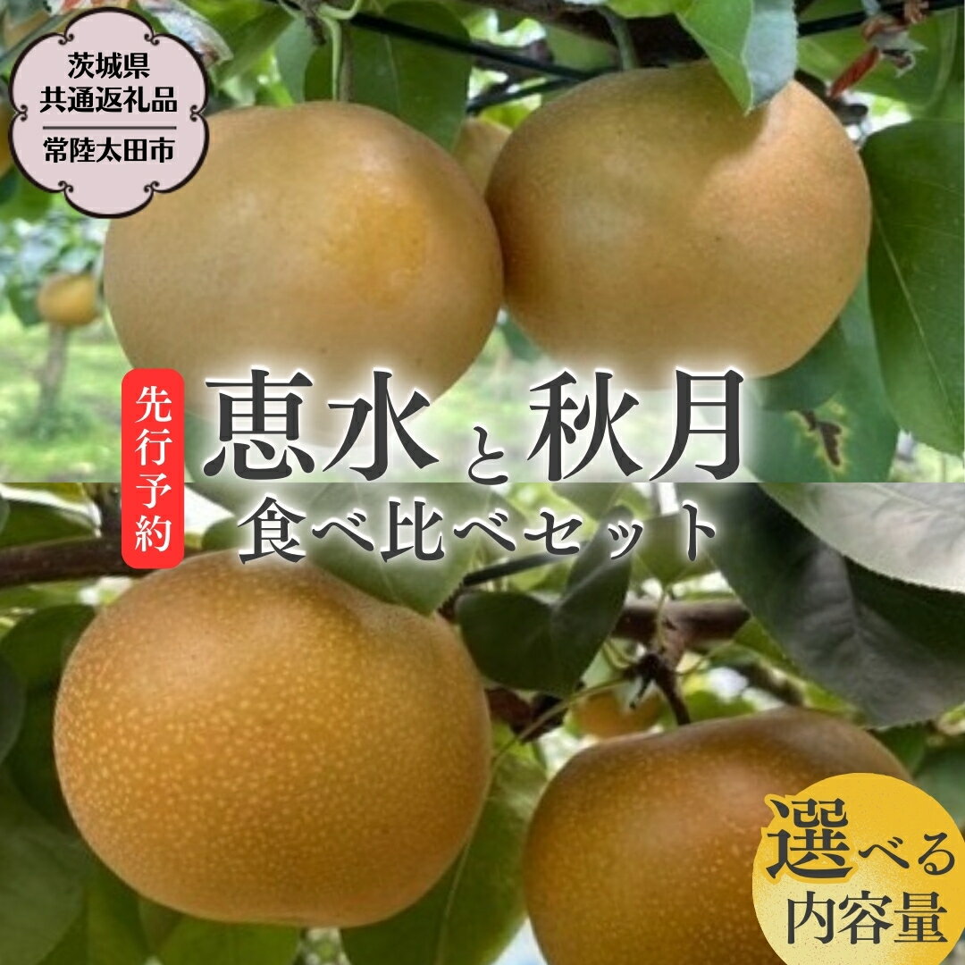 【ふるさと納税】《 2025年 先行予約 》 厳選 2種！恵水 と 秋月 の 食べ比べセット 約3kg ( 5玉～7玉 ) 約5kg ( 8玉～10玉 ) 【 茨城県共通返礼品 ／ 常陸太田市 】 2025年9月中旬発送 桧山果樹園 フルーツ 甘い 直送 茨城 限定 ギフト 梨 恵水 秋月 旬 贈答 果物