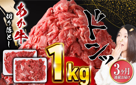 【全3回定期便】熊本県産 あか牛 切り落とし 計1kg 牛肉切り落とし 牛肉切り落とし 牛肉切り落とし 牛肉切り落とし 牛肉切り落とし [YBZ021]