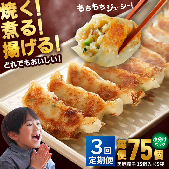 【ふるさと納税】【3回定期便】美豚餃子75個（15個×5袋） 五島市/長崎フードサービス[PEL006] 冷凍 餃子 飲茶 中華 ぎょうざ ギョウザ