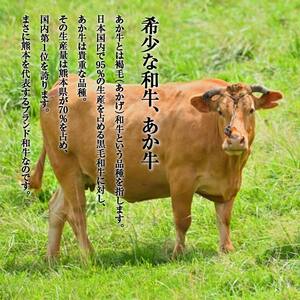 【6カ月定期】 あか牛 切り落とし 600g 定期便 牛肉 牛 赤身 FKP9-647