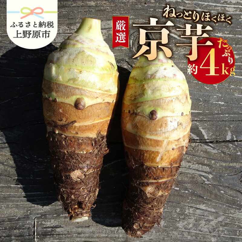 【ふるさと納税】 ◆先行予約◆ ＼山梨県産！数量限定／ 京芋 4kg ほくほく 厳選 期間限定 野菜 化学肥料不使用 農薬不使用 農園直送 2025年度収穫 ギフト プレゼント お取り寄せ 贈り物 贈答 送料無料 上野原市
