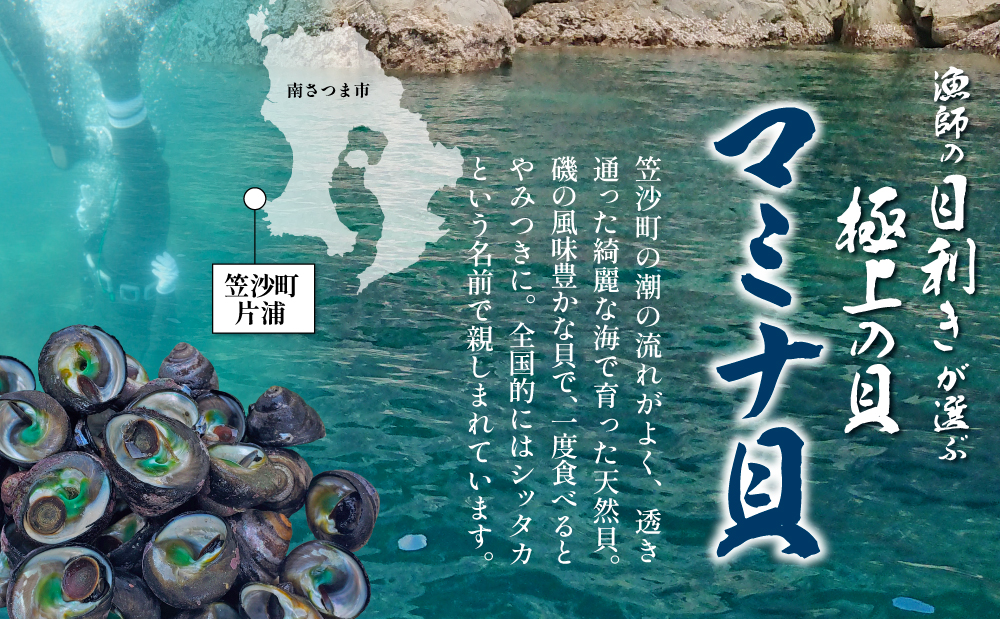【素潜り漁師直送】【袋に入った冷凍のままでレンジ対応】【南さつま市　笠沙産　天然マミナ貝】シッタカ クボガイ 海産物 魚介類 鹿児島県 南さつま市 隆康産業