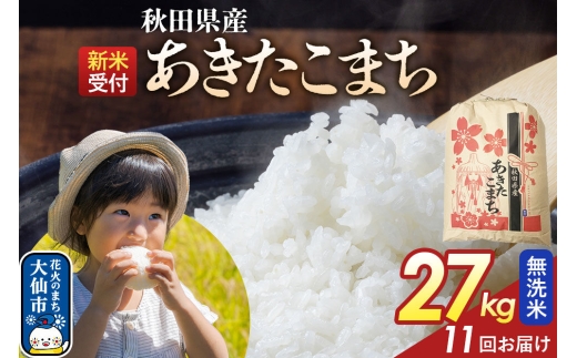 《令和8年産新米予約》 《定期便11ヶ月》【無洗米】あきたこまち 27kg 秋田県産  こまちライン 秋田県 大仙市産 [秋田 お米 米どころ あきたこまち こまちライン]