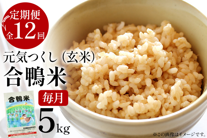 令和7年産 新米予約 合鴨米「元気つくし」（玄米・5kg）定期便12回コース　BI11　※2025年10月より順次出荷予定