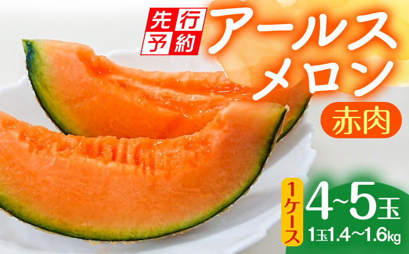 
【先行予約】期間限定 数量限定 宮崎産 アールスメロン <赤肉> 1ケース(4～5玉)_M126-027_01
