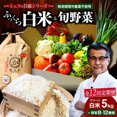 ふるさと納税 大洲市 【全12回定期便】『シェフの食卓』〜野菜・果物・お米・卵の詰め合わせ〜 [AGBX033]