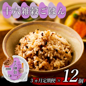 【 栄養満点 】 定期便3回 十六 雑穀 ごはんパック 160g 12個