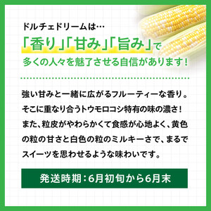 【令和8年発送】宮崎県産とうもろこしスィートコーン「ドルチェドリーム」4本 スイートコーン