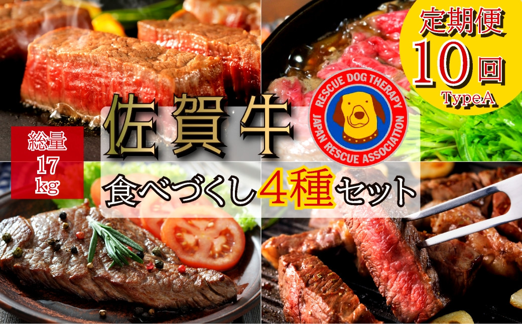 
            【定期便セット】全10回　佐賀牛食べづくし4種セット総計17kg：TypeA(ヒレ240g、ロース340g、ランプ520g、すき焼き肉600gを計10回）

          