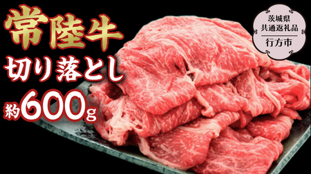 常陸牛切り落とし約600g 【茨城県共通返礼品】 常陸牛 ブランド牛 [DS013sa]