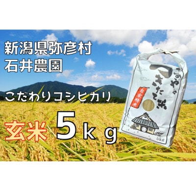 【新米】新潟県弥彦村石井農園　令和6年産コシヒカリ【玄米 5kg】