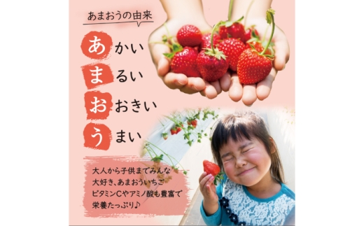 あまおう いちご 1620g（約270g×6パック）【2027年3月初旬より順次発送】 《築上町》【株式会社HSP-テクノ】[ABFG002] いちご アマオウ 生いちご あまおう くだもの あまおう