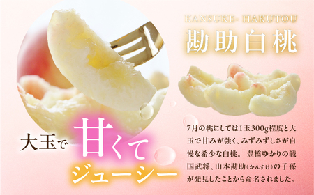 ≪先行予約≫出荷時期はわずか２週間！ 豊橋産『石巻の勘助白桃 2.5～3kg（6～10玉）』