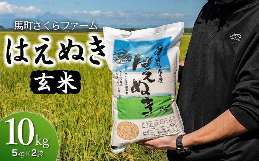 【令和7年産先行予約】 馬町さくらファームのはえぬき 玄米 10kg（5kg×2袋）　K-761