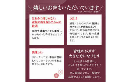 一梅千日うす塩味梅（塩分6％） 「風」 A級4Lサイズ500g / 和歌山県 田辺市 紀州南高梅 南高梅 梅干し 梅干 梅 うめ A級品 4L 肉厚 お米 おにぎり 焼酎 梅酒 健康 うす塩味 塩分6