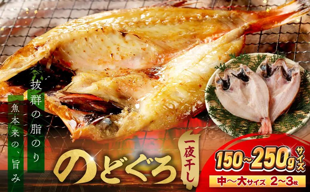 のどぐろ 一夜干し 2～3枚 のどぐろ 干物 【005_2087】