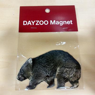 ふるさと納税 池田市 五月山動物園　ウォンバットグッズAセット
