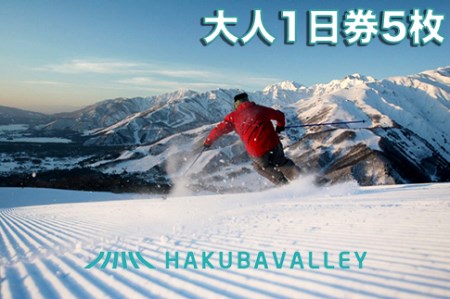 HAKUBA VALLEY 10 スキー場共通リフト券＜大人1日券5枚＞/長野県白馬村　北アルプス　白馬バレー　全10スキー場　ゲレンデ　スキー・スノーボード　先行予約　旅行　スノーリゾート【L0160260】