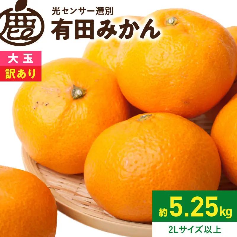 《2026年11月上旬～2027年1月下旬頃順次発送》【2026年先行予約】家庭用 大きな有田みかん約5kg+250g（傷み補償分）【わけあり・訳あり】【光センサー選果】_ZH7117