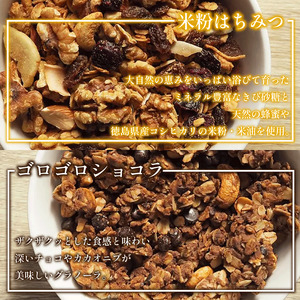 グラノーラ おまかせ 3種 定期便3回  グラノーラ