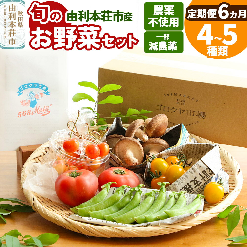【ふるさと納税】【定期便 半年分・6ヶ月】旬のお野菜セット 秋田県 由利本荘市産 栽培期間中農薬不使用 減農薬