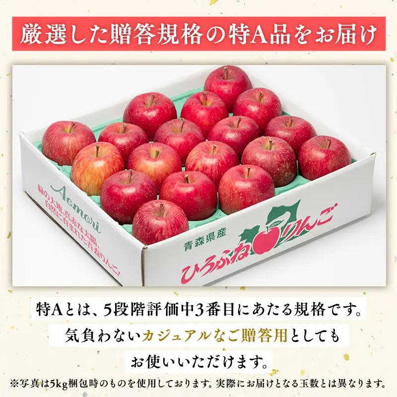 りんご 贈答規格 サンふじ 約3kg【hi-0004-010】  