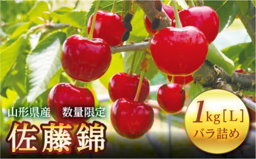 FYN9-256 《2026年先行予約》山形県産 さくらんぼ 佐藤錦 1kg(500g×2) 秀 L以上 バラパック詰め 2026年6月上旬から順次発送 果実 果物くだもの フルーツ 桜桃 サクランボ 化粧箱 贈り物 ギフト 贈答用 家庭用 自宅用 産地直送 山形県 西川町 月山