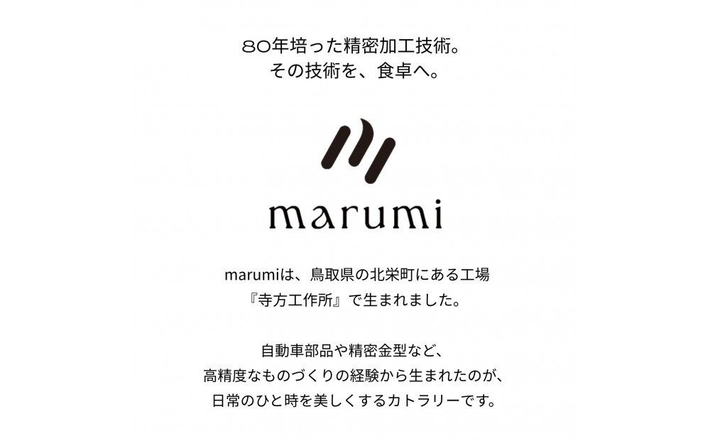 
                  marumiカトラリー デザートフォーク 2本　創業80年 精密加工メーカーの技術から生まれた1本
                