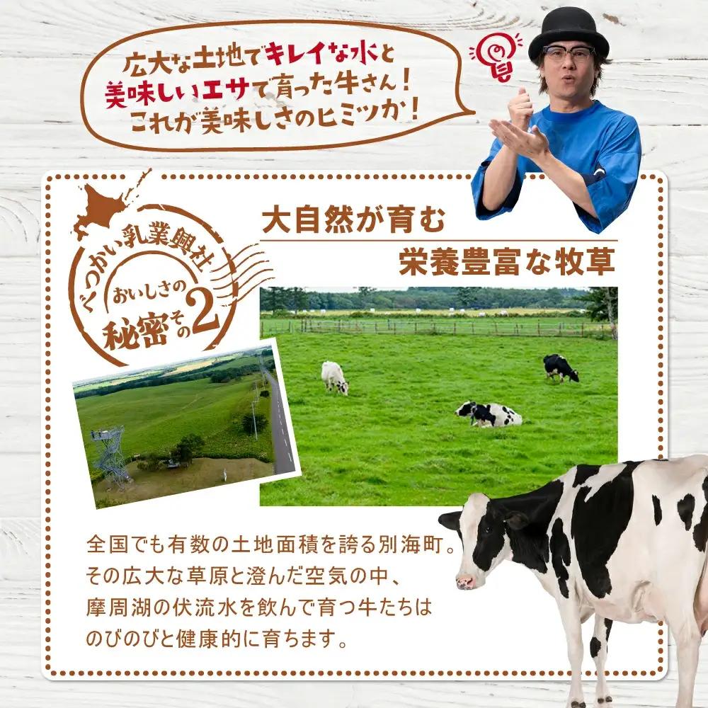 アイス！高評価★5.0 プレミアムミルクリッチ 12個 北海道 別海町アイスクリーム