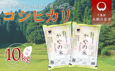 【新米】令和6年産 千葉県大網白里市萱野地区産「コシヒカリ」10kg（5kg×2袋） A001